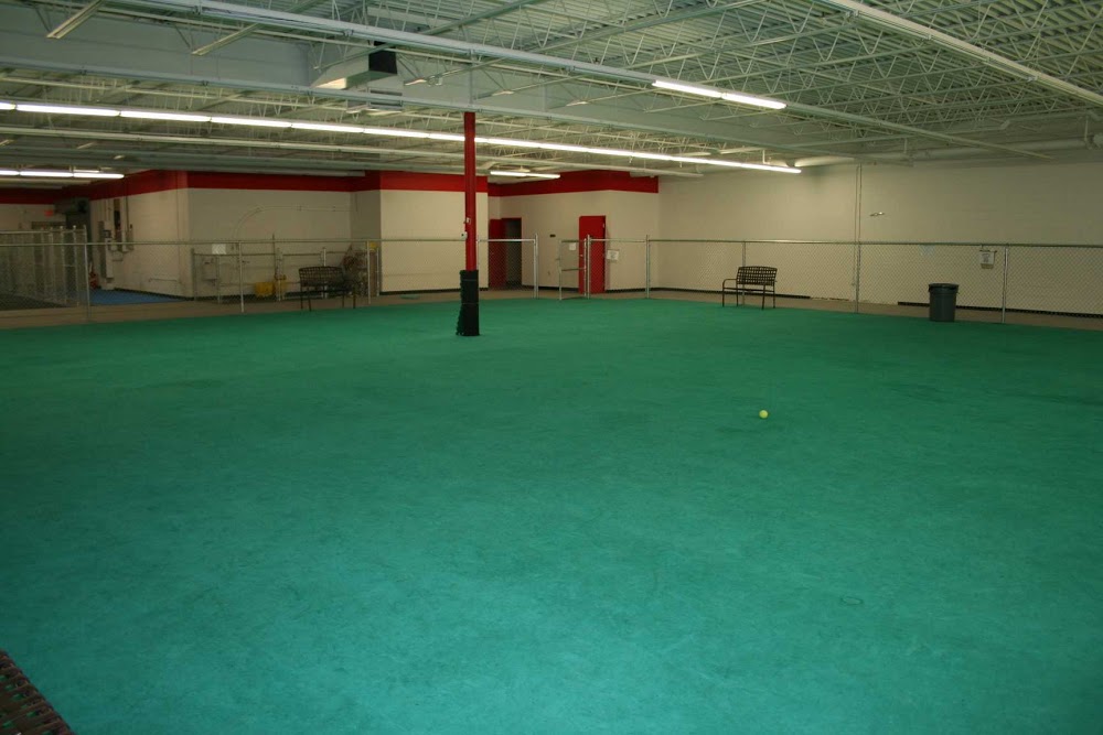 Sidekick Dog Training Springfield Mo Sidekick Dog Training Springfield Mo